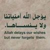 amirlbrahim3