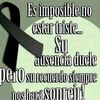 rosygregorio576