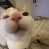 adelyn_147