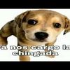 el_coreano00