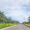 danielvillamiza05
