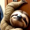 sarcasticsloth1