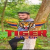 tigergroupnayan1