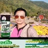 chairin785_c