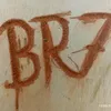 rbhanu_br7