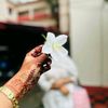 abiha.mimi0