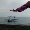 dianeysaffa