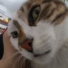 again_and_again14