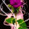 user5080523381701