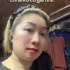 lanlan31122024
