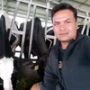 yahyazaulyahya