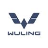 wulingev_id