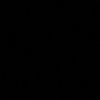 vega_255