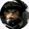 iz_qandar0