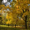 svetamylove