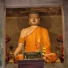 dyvmrta31juc