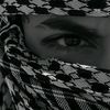 shayanahmad.7
