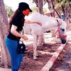 houdaben395