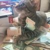 kirafanta_michi