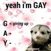 gemini_bishh