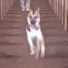 waytooangyyyx