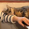 namythichriviu_