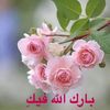 maouhoubz