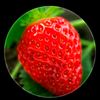 pinkstrawberry_1605