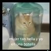 cris_v55