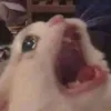 sadgorl6969