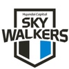 skywalkers_vbc