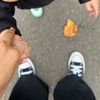 ms_shiban