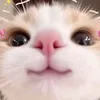 capawpaww_