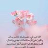 om.ammar.n7