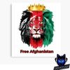yaqoob.khan6767