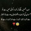fozi_writes
