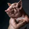 tiagogangis