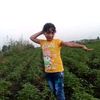 user8881698655703
