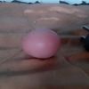 ww.tiktok.madang