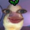igthelovely_aca