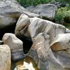 thuanbuomxuoigio278