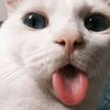 _mnusiaaaaaaaa