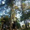 nad_ia5092