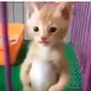 zhenya_tetya