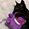 z0neks