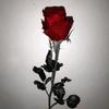 mawar_merah412