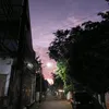 roymorv