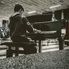 _andflorends_7