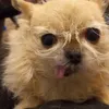 kiaratjeuuhhh