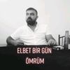 aliyavuz06_